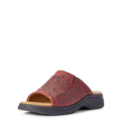 Ariat Bridgeport - Sandalen Rood / Bruin Dames - 11760-447